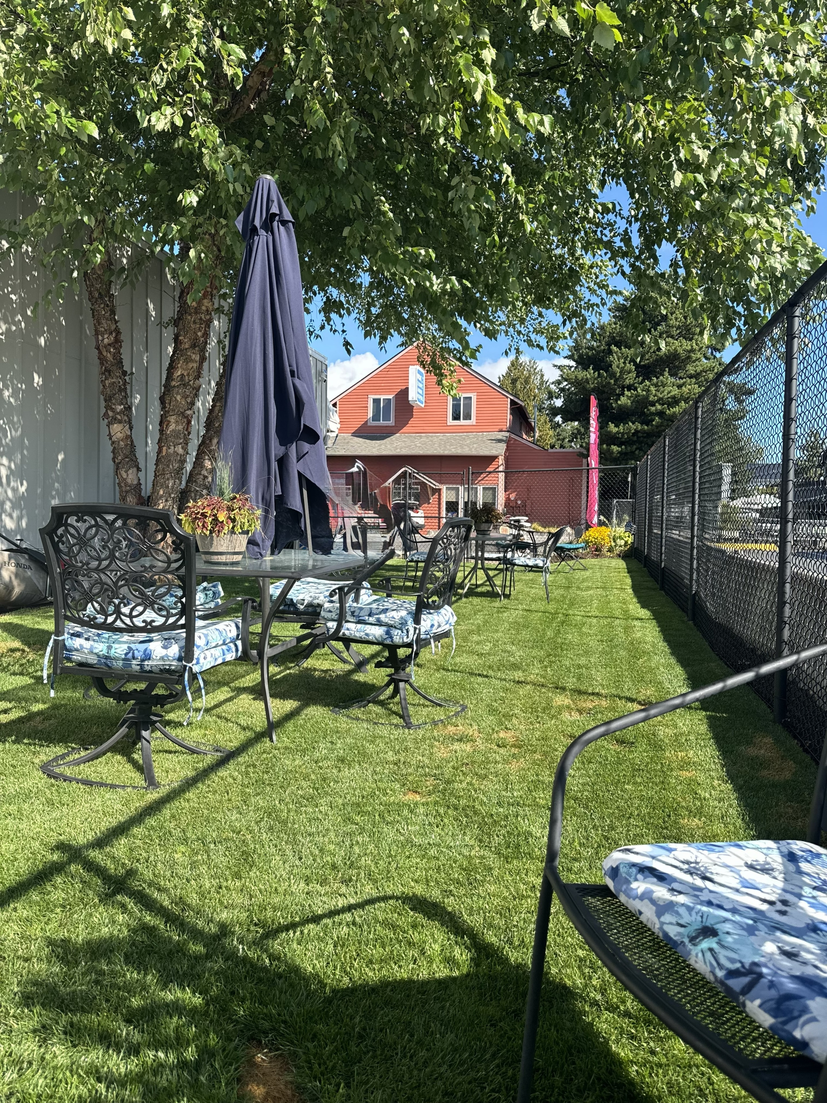 Shaded outdoor patio seating in the Byron Street Bites yard
